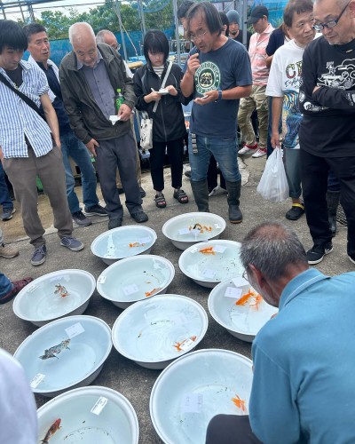 第41回秋の誰でも売買できる競り市