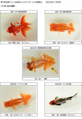 第7回金魚フェス品評会 ｉｎイオンモール大和郡山　　 2025年11月9日